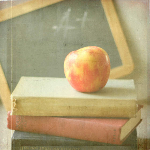 Apple on book teacher gift good teacher 
